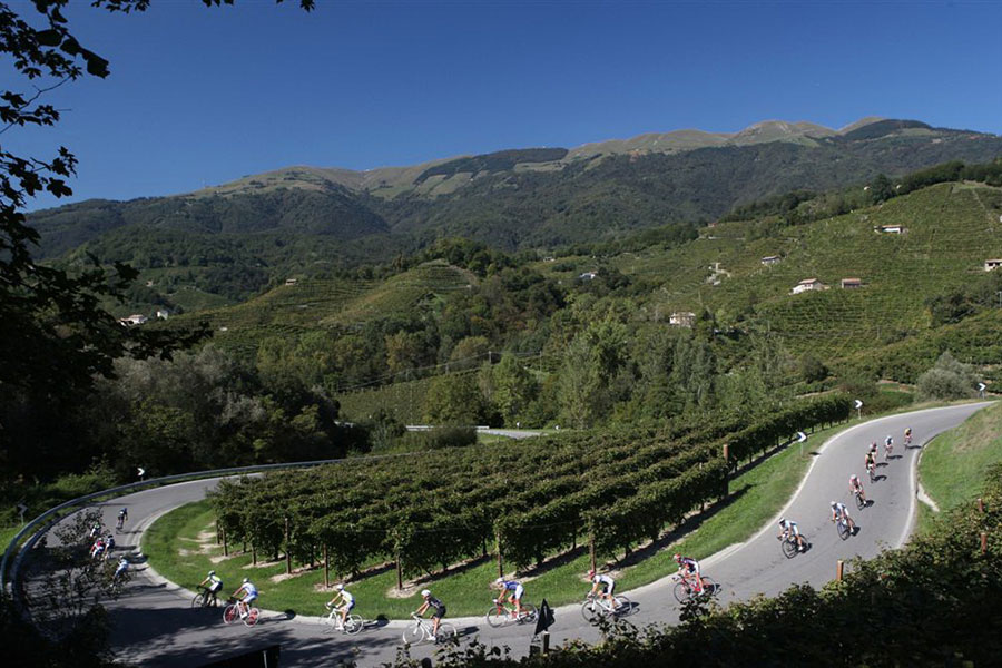 Nach dem Start in Valdobbiadene führt die Strecke durch die Weinberge (Foto: Prosecco Cycling)