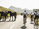 Teilnehmerrekord beim Arlberg Giro 2013