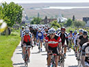 Teilnehmerrekord beim Neusiedler See Radmarathon
