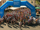 Friedens-Radmarathon in Stadtschlaining