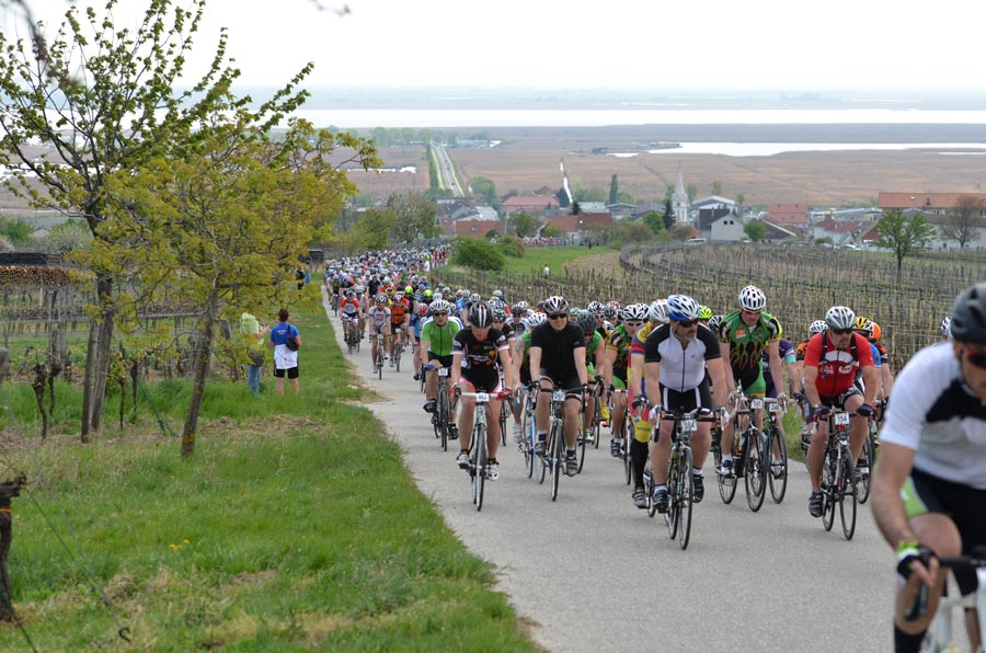 Klassische Runde um den Neusiedlersee über 125 Kilometer mit Abstecher nach Ungarn