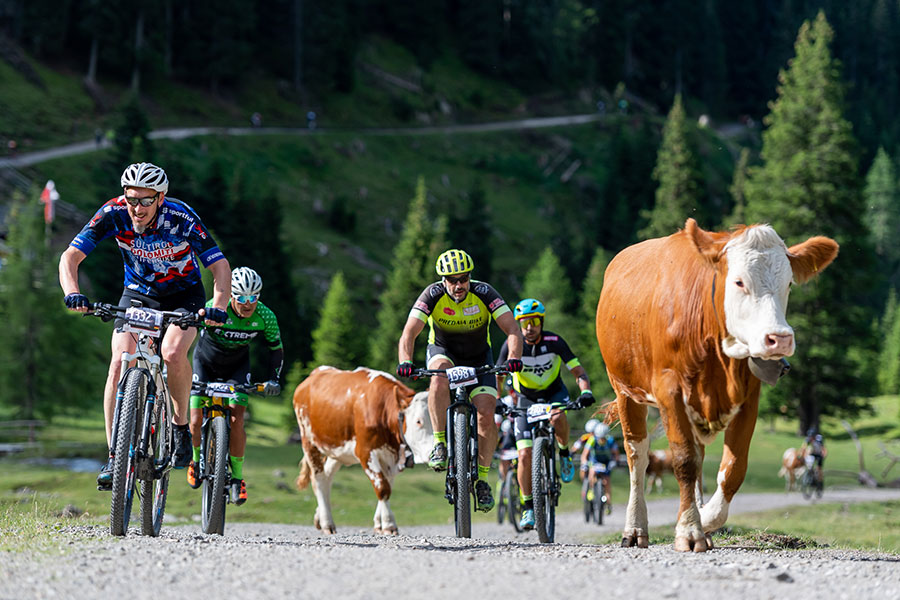 Herausfordernde Strecke in der Region 3 Zinnen Dolomiten (Bilder: YAK Agency)