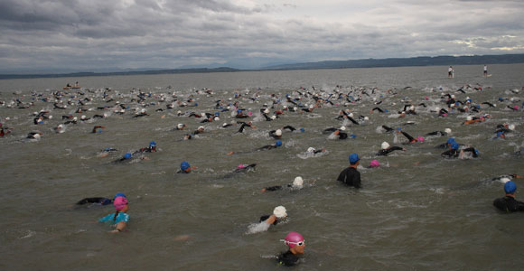 Wenn sich die Starter in die Wellen stürzen, brodelt der Neusiedlersee (Foto: Bildbearbeitung Noll)