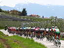 12 UCI World Tour Teams bei der Tour of the Alps von 19. bis 23. April 2021